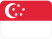 EPG Group - Flags - SG
